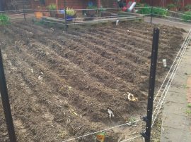 You could almost hear the seeds germinating...