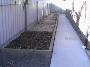 The first veggie patch along the side of the house.