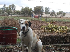 Bruce doesn't quite understand why we do the things we do.