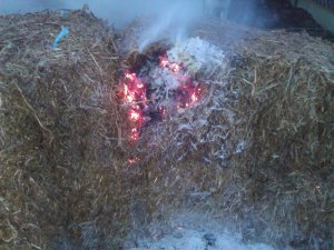 Linhda set fire to the compost bay. Again.