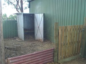 Reclaimed poultry area with dad's gate and the recycled shed.