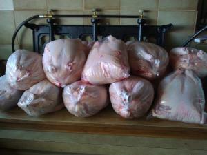 Chooks close to the size of turkeys. I say that means we're doing something right...