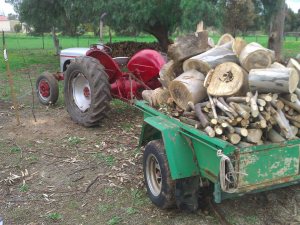 Farm trailer with at least a tonne of wood.