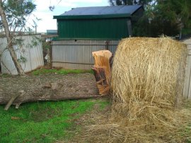 It really was quite large...