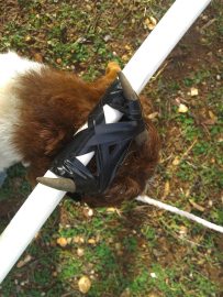 Necessity is the mother of all invention... or something like that.