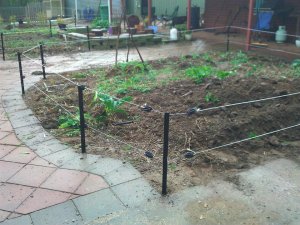 The smaller backyard veggie patch is finally dog proof.