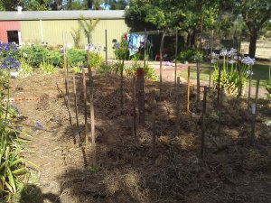 Becoming productive.