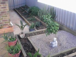 Ornamental area with reclaimed herb garden in the background.
