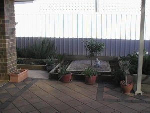 Ornamental garden with mandarin centre piece.