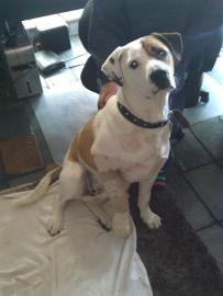 Bruce feeling pitiful.