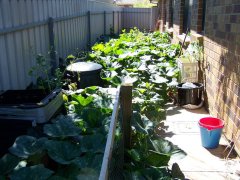 Yeah, I have no control over that at all.