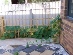 It ended up pulling down that fence and a gate.