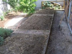 Reclaiming a paved area as veggie patch - preparing the soil.