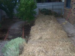 Reclaiming a paved area as veggie patch - mulched.