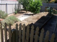 Reclaiming a paved area as veggie patch - etching out the raised beds.