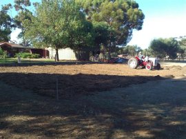 Chicken shit spread!