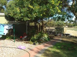Horrible plants becoming the start of a bonfire.
