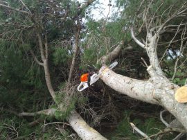 Poor stuck chainsaw...