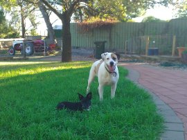 Bruce and Tatyl bonding.