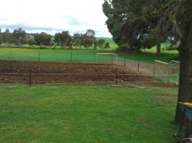 The Patch is looking good!