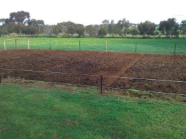 Still mapping out the beds.