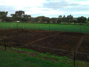 The Patch partly planted!