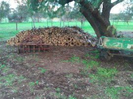 Wood pile growing...