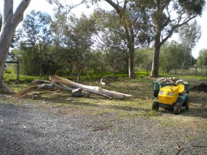The wood quickly started piling up.