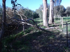 Luckily it missed pretty much everything.