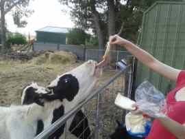 That tongue is awesome!