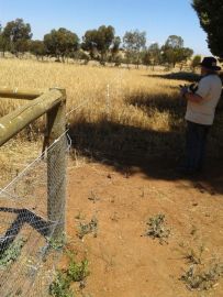 Setting up the stand-off fence.