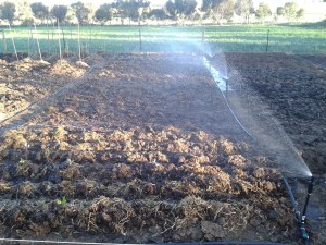 The pop-ups work well, but we found that they're not great for all beds, and the risers have to be quite tall.
