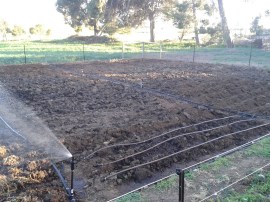 This is the start of the irrigation in the corn bed. There were many, many rows to follow.
