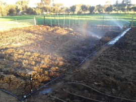 Irrigating The Patch is almost as tough as digging in it.