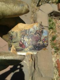 Found this in our paddock. It's fascinating!