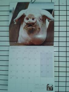 Miss January. Hubba Hubba!