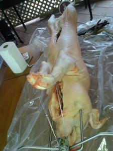 Trussed, oiled, and salted.