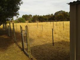 The pig yards coming together.