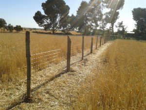 We were aiming for straight, but only really managed straightish.