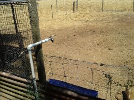 This is the hole we cut into the chook yard so Linhda can feed the babies without getting in with them.