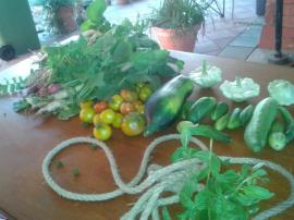 Before, before picture.