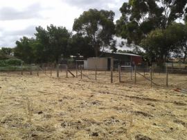 The stock yards almost completely finished.