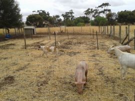 Photo-bombed by a baby,Tink, and Bruce!