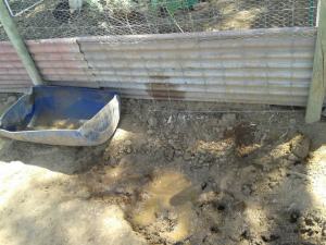 Some see the babies being destructive. I see them helping me dig the hole for the cement pad.