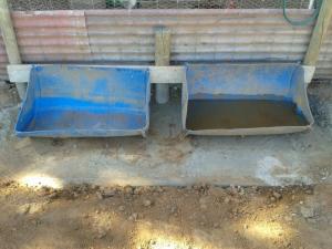 The babies are now free to make as big a mess as they like.