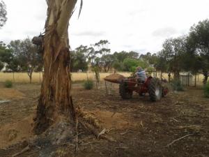 Using the scoop on Sheldon to move dirt around. Much better than the shovel and barrow.