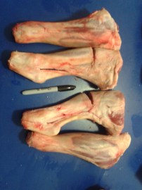 I think the shanks are my favourite part.