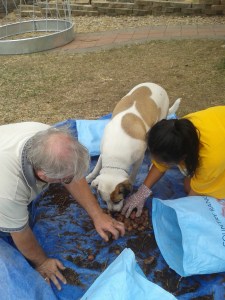 Bruce likes to help.