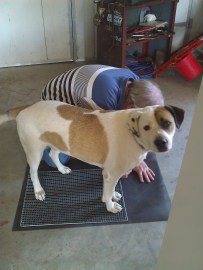 Bruce being super helpful again.