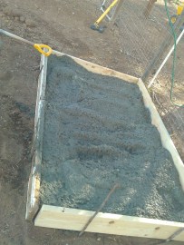 Starting to fill it up.